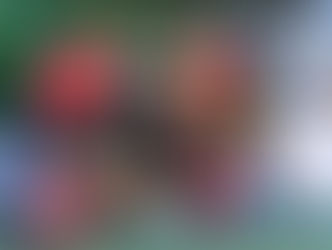 「畢馬威女子欖球超級聯賽」
KPMG Women’s Premiership
華利Valley和雞糊Gai Wu於2020年首戰相遇