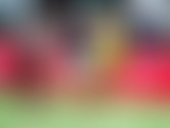 香港隊成功躋身「七人欖球世界盃」銀碗賽四強