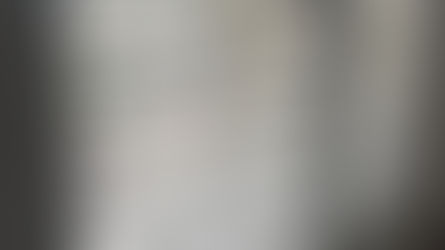 Minimalist shutter panel with concealed internal tilt mechanism