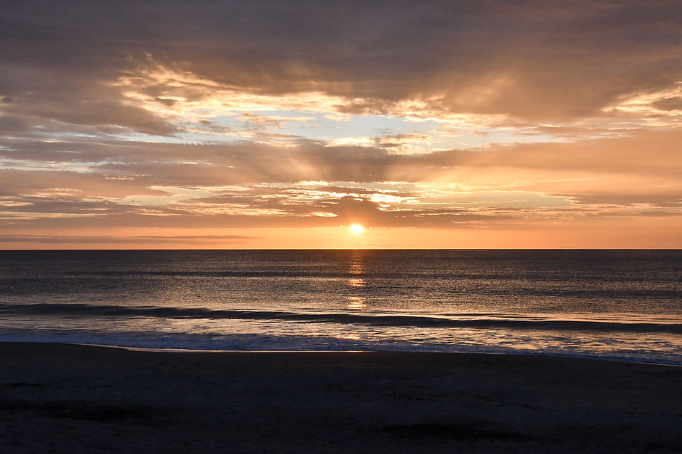 DSC_5972.JPG