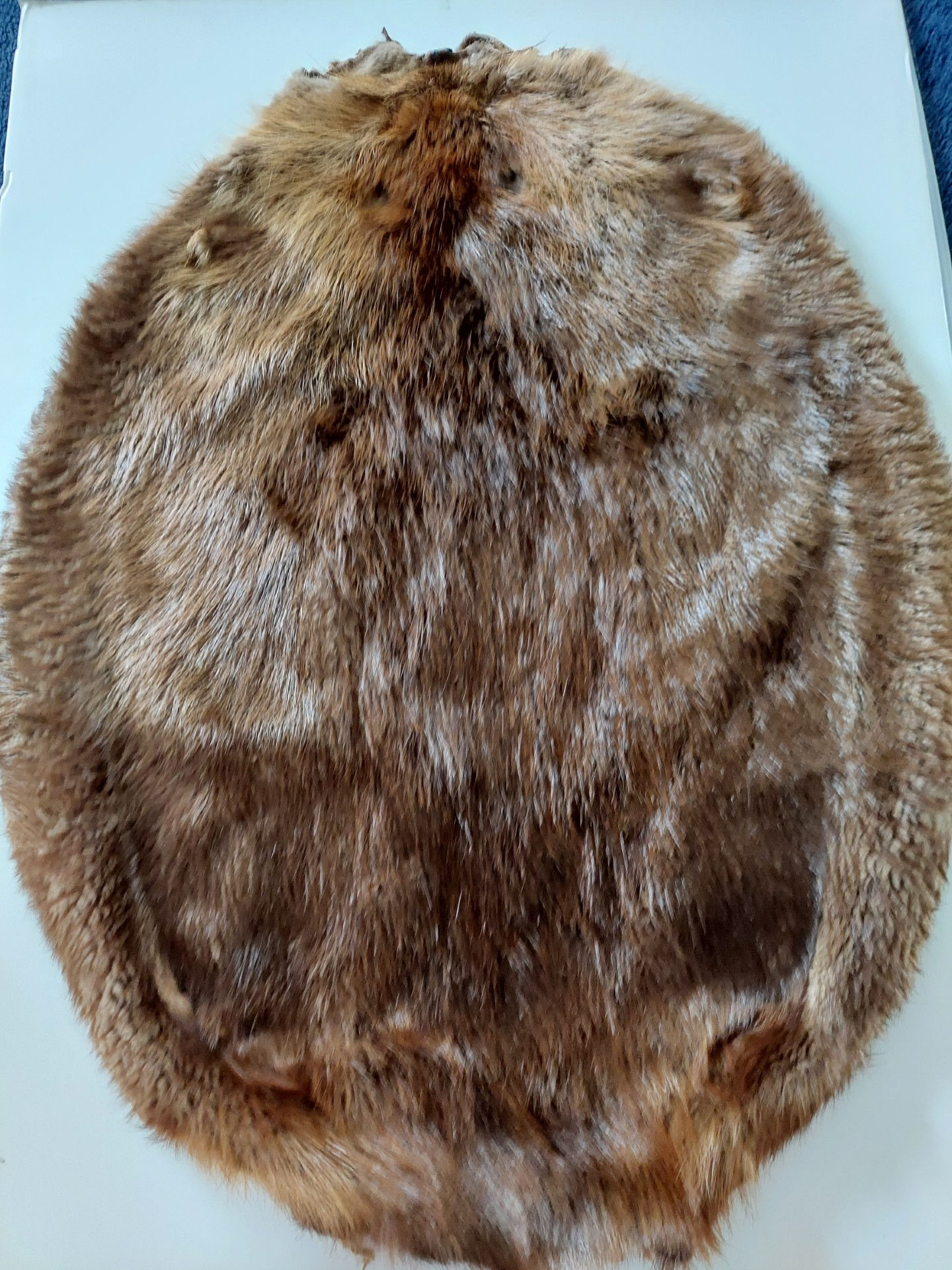 Beaver Fur Pelt