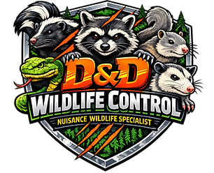 D&D Logo.png