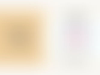 DWS Mean on Instagram