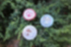 Summer Camp: Merit Badge