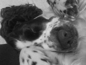 IMG-20161018-WA0003.jpg