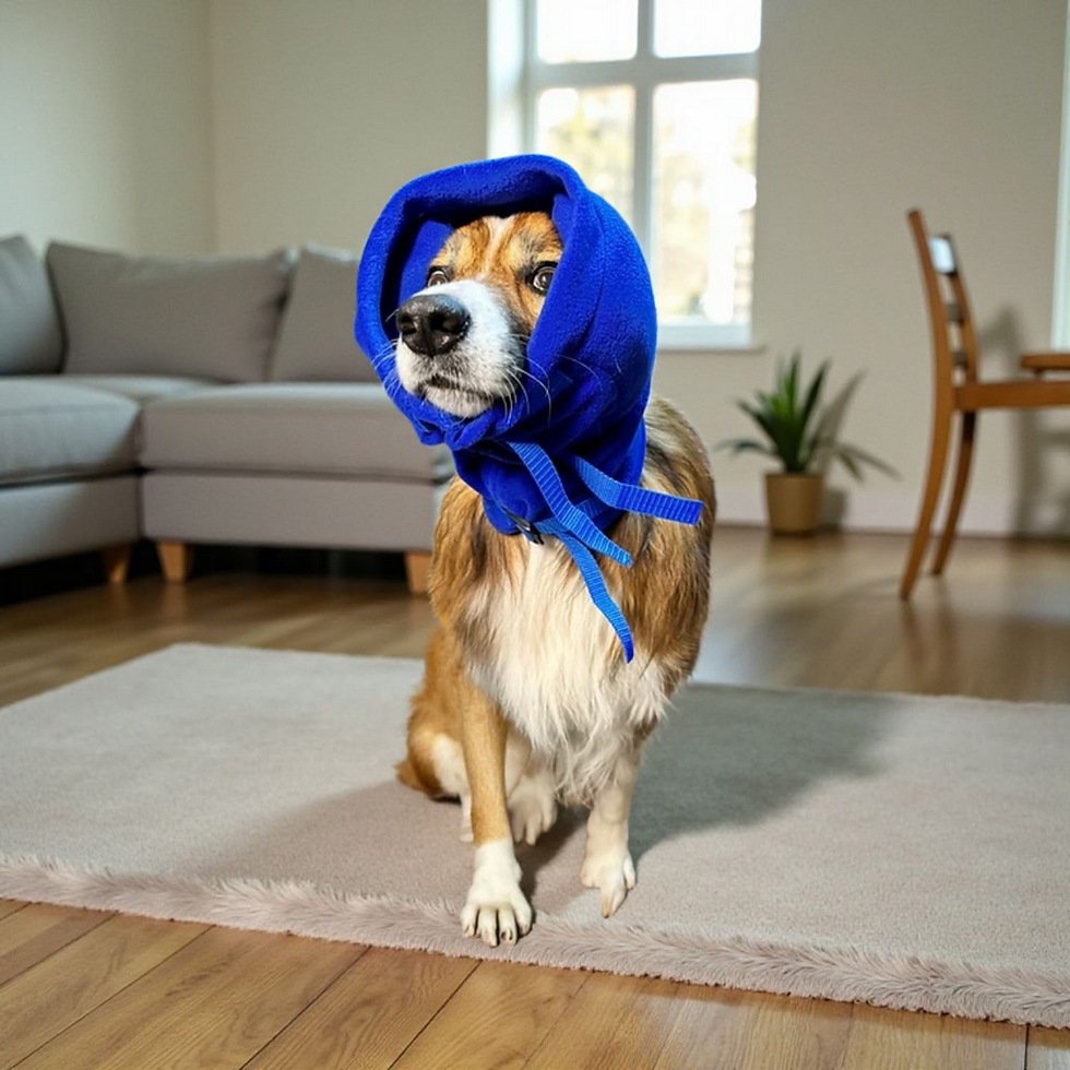 Anti Panic Snood L 45-55cm Blue