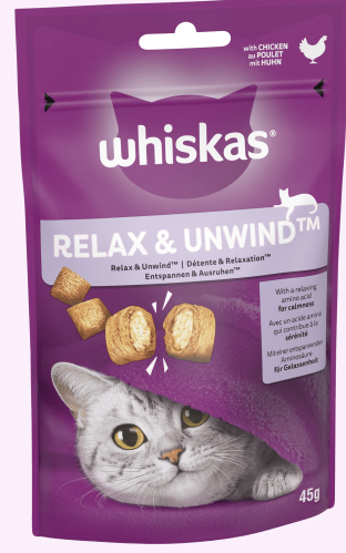 Thumbnail: The PNN Cat Boutique