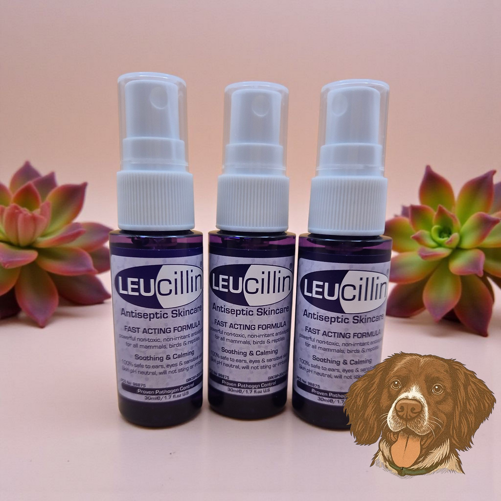 Leucillin Antiseptic Spray