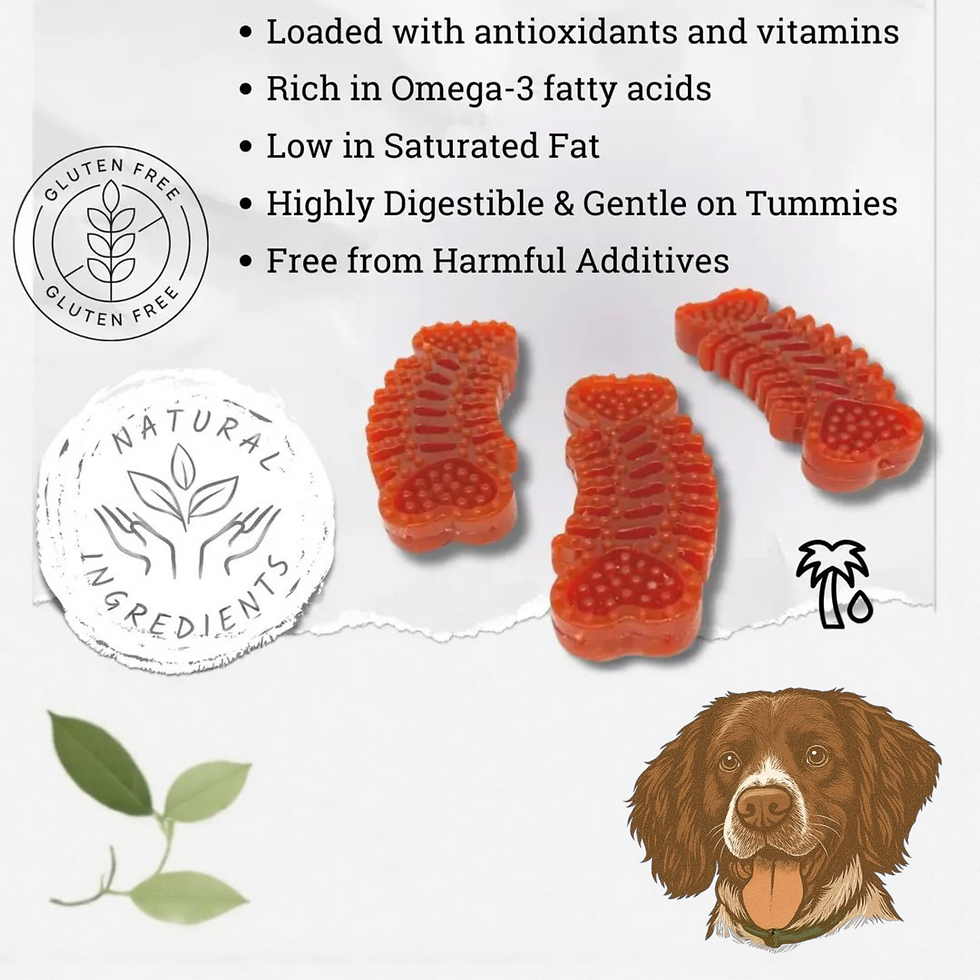 Thumbnail: Luxury Vegetarian Dental Chew Treats