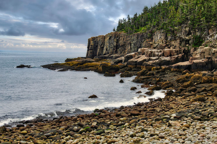 IMG_0984 lum smaller.jpg