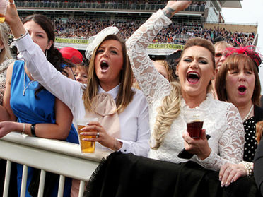 【英镑｜英股】向老牌贵族们学习 - 自己选的路，跪着也要走完