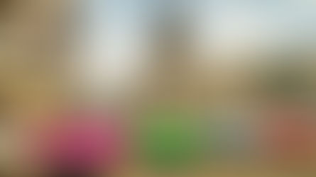 干货｜如何用几千元环游世界？