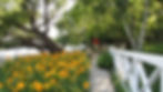 Lake shore path