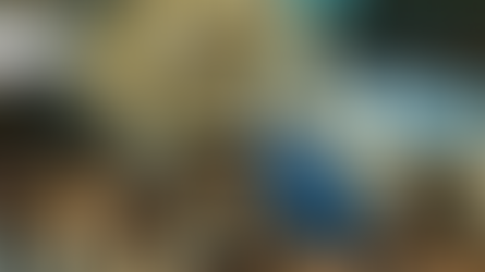 Why community ownership is the ideal model for the A-Leagues