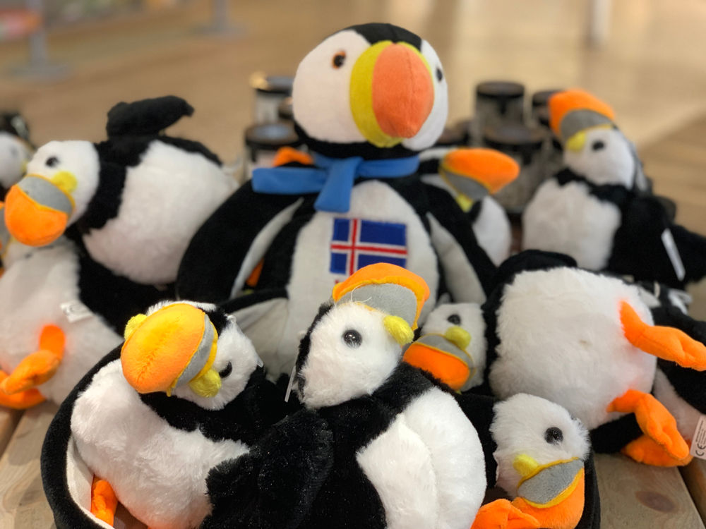 The Best Iceland Souvenirs to Take Home