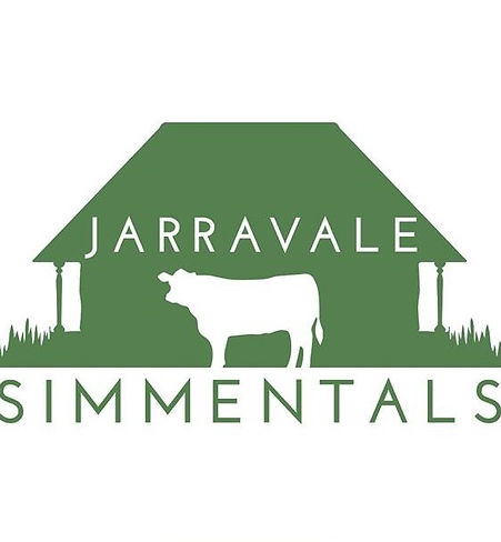 Jarravale Simmentals