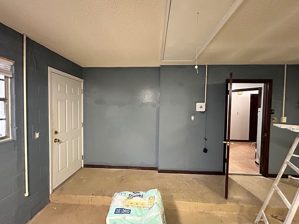 Garage walls painted