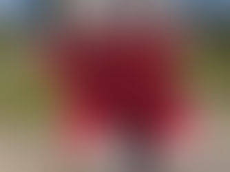 Red Ted hits the Heights!