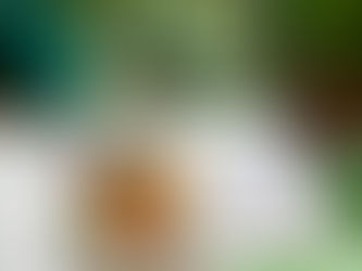 Tokaji Szamorodni: Thai Palate Pairing Secrets Revealed