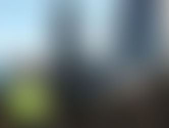 Site Investigation Scope of Work Less Costs Less…or Does It?