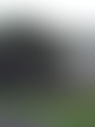 Roddy Inc. closes 50,724 s/f of SEPA industrial transactions