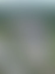 CBRE secures joint venture equity partnership for purchase of Interstate Shopping Center in Ramsey, NJ