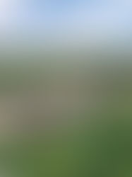 Marcus & Millichap brokers $6.7M sale of medical office campus in Clementon, NJ