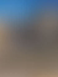 Crystal supplies over 1,300 windows & doors for high-rise