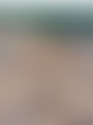 Garden Communities reaches key construction milestone, with initial framework at Roseland