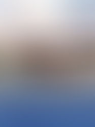 Federal Realty Investment Trust welcomes Wonder to Andorra SC