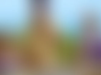 He's All That (S47: Episode 8)