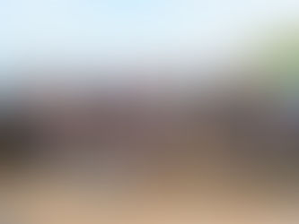 S50 Draft Pick Rules!