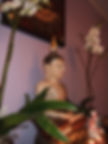 Surat thai spa massages Beveren 09