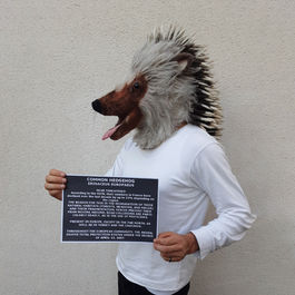 EUROPEAN HEDGEHOG
(Erinaceus europaeus)
Artist : Sofi Portier, France (2025)