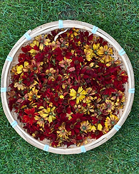 Screenshot 2025-08-24 at 15.43.37.png