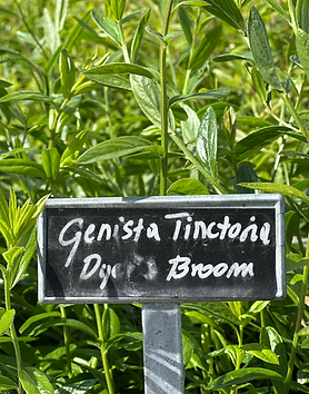 Screenshot 2025-08-24 at 15.46.51.png