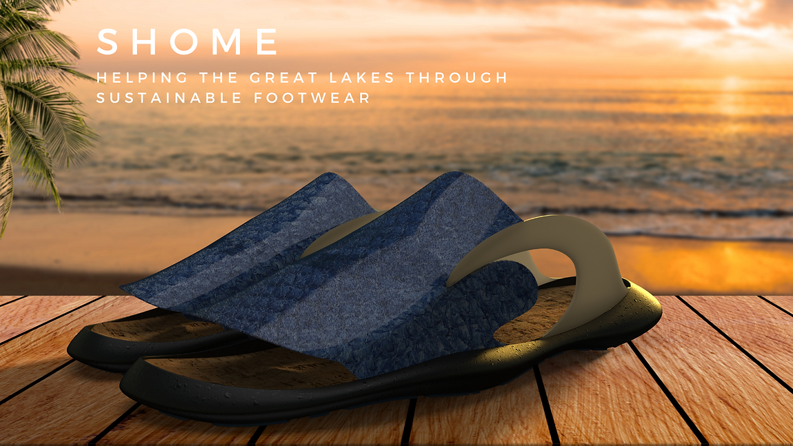 SustainableFootwear_ErinMarshall(2).png