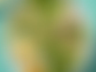 Healthy Recipe, White Bean and Tuna Salad with Basil Vinaigrette