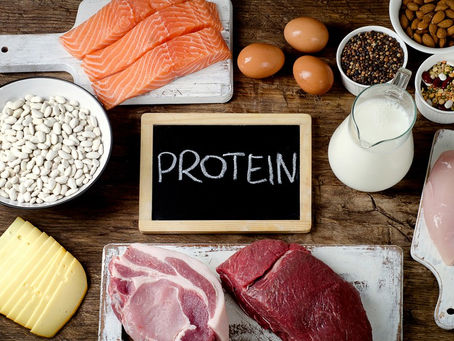 Why There’s No ‘Low Protein’ Diet 