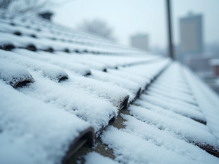 Understanding Financial Risks from Water Damage Claims for Small Businesses and Roof Maintenance Solutions