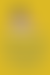 Week 26 – Midweek Happiness Questions