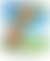 Happiness in Action: Your Global Spark