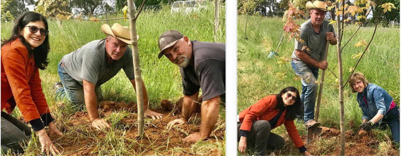Tree planting working party at the Majura Community Energy Project