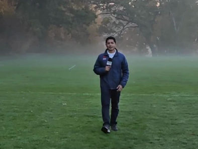 Zombie Trees in Massachusetts!