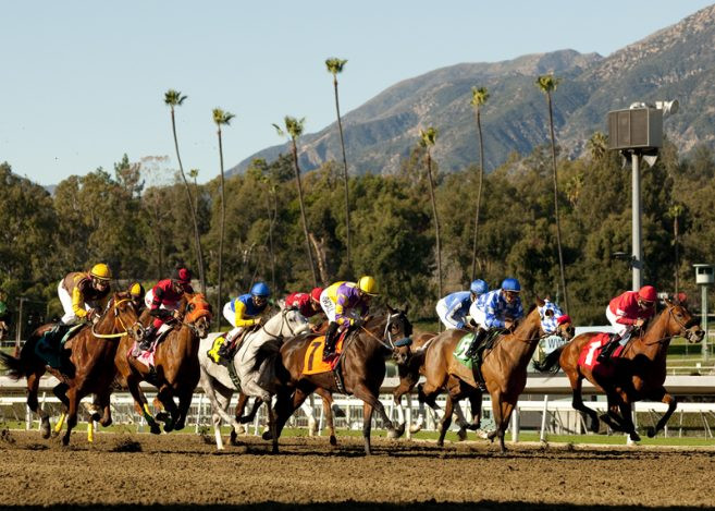 Santa Anita Park Suspends Races Following String Of Horse Deaths