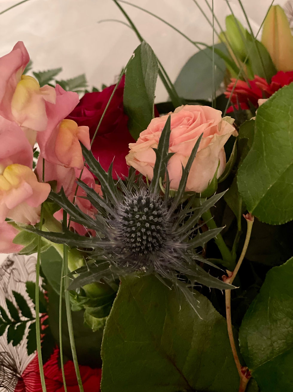 Thumbnail: Hand Tied Aqua Pack