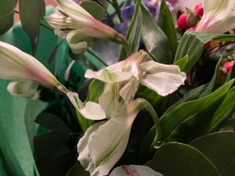 Thumbnail: Hand Tied Aqua Pack