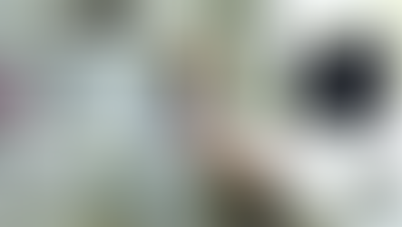 Sinapro-MG e Fenapro orientam agências sobre o home-office