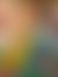 What Do You See When You Look at this Picture?