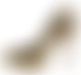 We’ve Got SO Much Fashion On The Brain & On Our Calendar This Month Too! Candy Art + HIgh